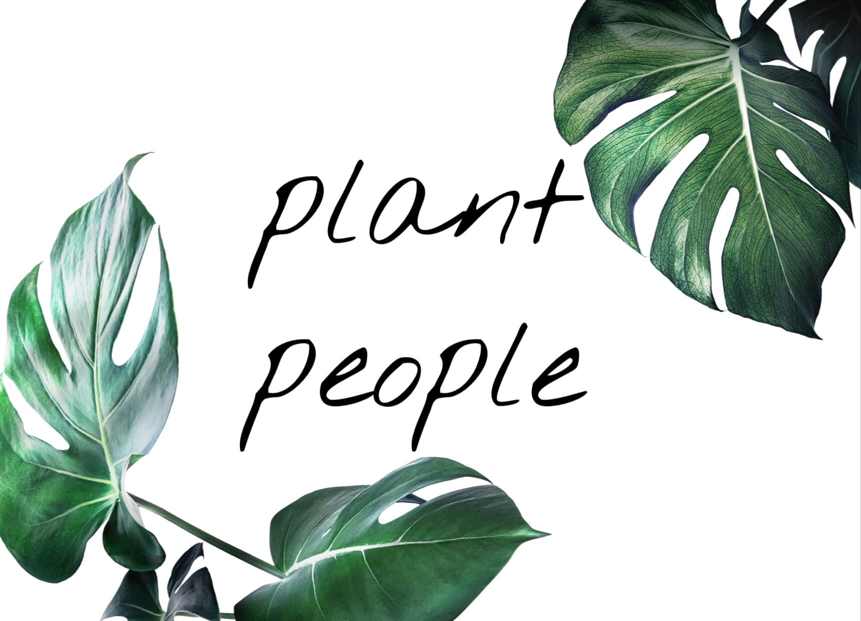 plant people shop logo
